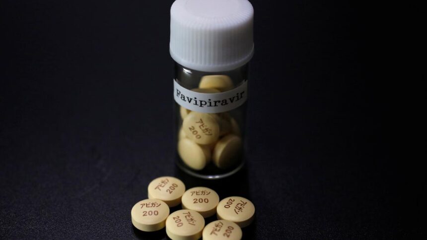 Favipiravir drugs show promise for Chandipla virus in preclinical studies with NIV