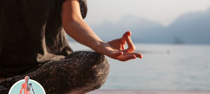 What are the key physiological changes that occur during such brief meditation sessions?