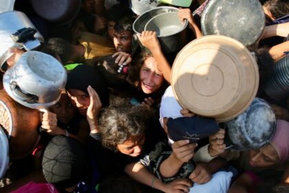 MSF says children at Gaza Clinic are malnourished quarter