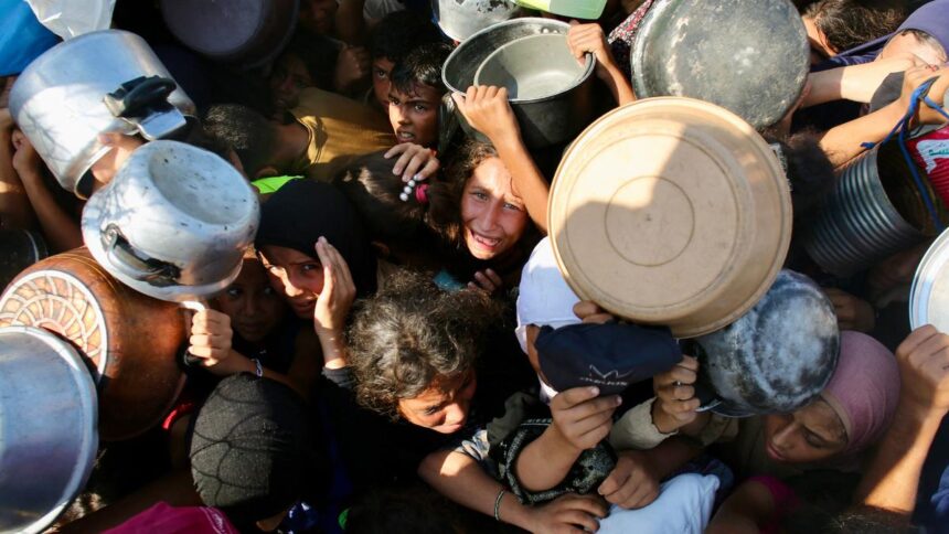 MSF says children at Gaza Clinic are malnourished quarter