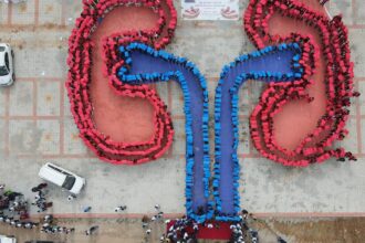 Kidneys are available in Tamil Nadu