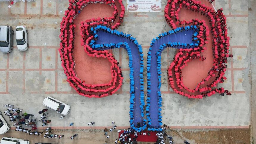 Kidneys are available in Tamil Nadu