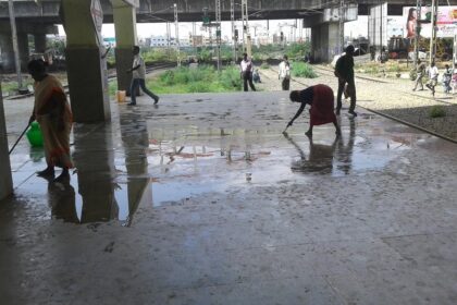 Why pigeon poop needs public health response and better protection for hygiene staff