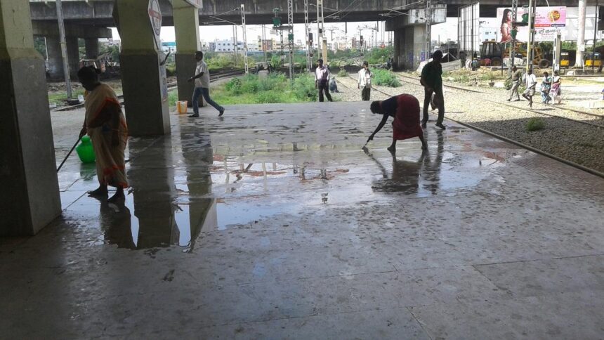 Why pigeon poop needs public health response and better protection for hygiene staff
