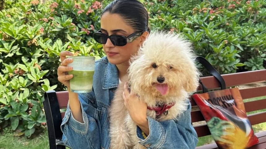 The meteoric rise of matcha in beauty mirrors its trajectory in wellness culture. One moment, it was a health-conscious swap for espresso; the next, it was the hero of hydrating cleansers. Its transition from teacup to toner is in its chemistry.