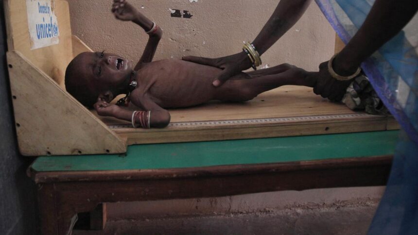 A complex web of factors behind India's persistent stunting crisis