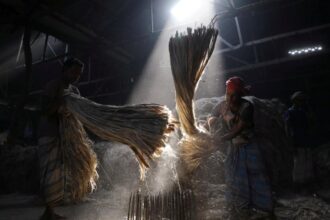 The port restrictions on jute from Bangladesh have been imposed to protect local industries from sub-sijude products, officials say