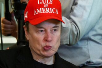 Elon Musk's bid to dismiss Openai's harassment allegations rejected in court