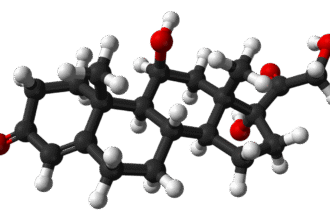 Why cortisol is more than a stress hormone