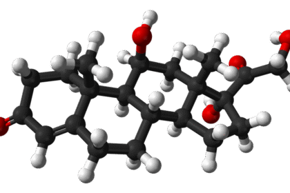 Why cortisol is more than a stress hormone