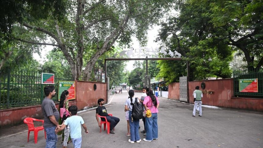 Delhi Zoo has been closed for visitors after painted storks avian flu positive