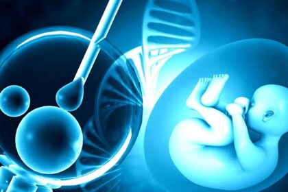 Understanding fertility health: Expanding the green flag and working on the red flag