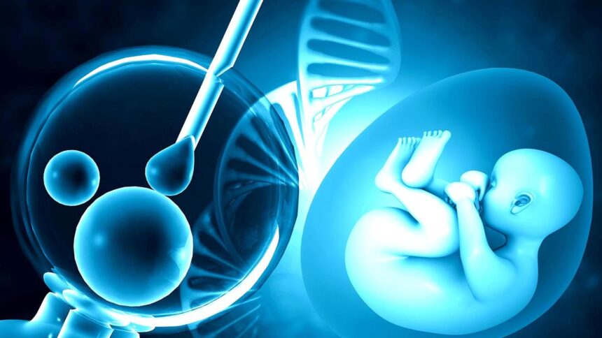 Understanding fertility health: Expanding the green flag and working on the red flag