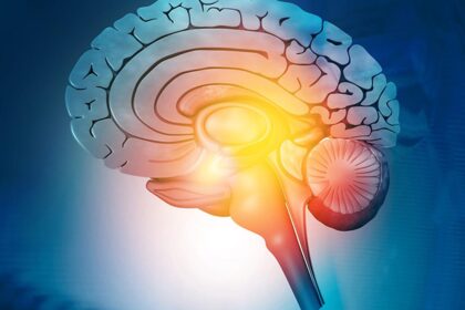 The skills of health professionals for detecting benign tumors decrease after three months of use of AI, the study