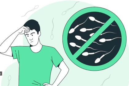 Human sperm production is vastly different – and much less efficient – than in other mammals, making animal models unreliable