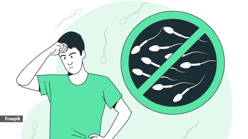 Human sperm production is vastly different – and much less efficient – than in other mammals, making animal models unreliable