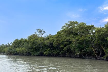 Microorganisms that digest plastics can also promote antibiotic resistance