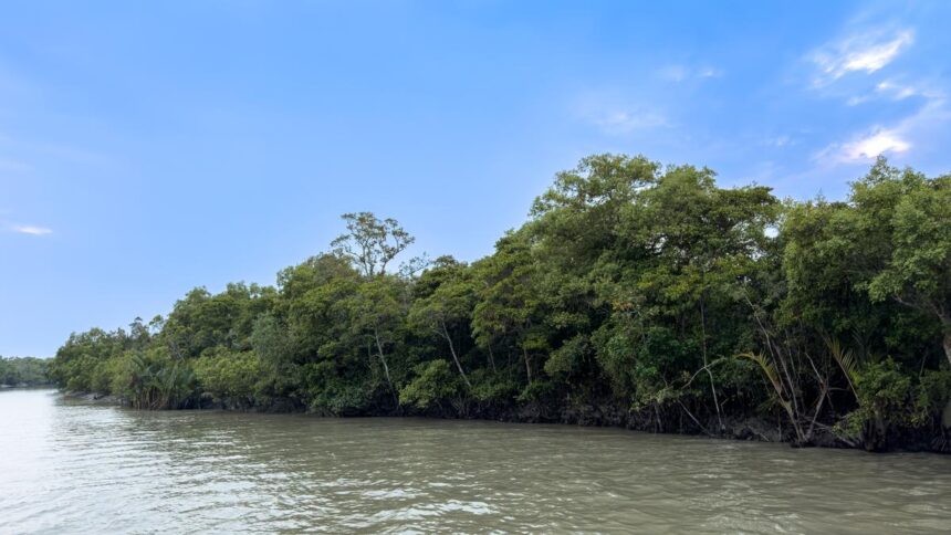 Microorganisms that digest plastics can also promote antibiotic resistance