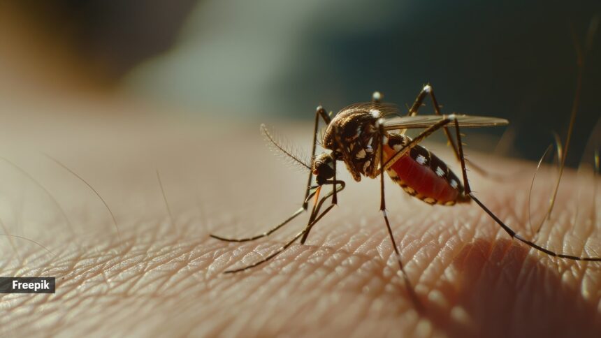 Parents should look out for these signs of dengue in children