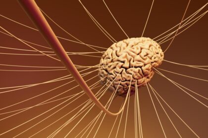 When emotions first appear, major research opens a window in the brain