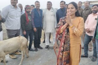 The Widow Who Became a Rebel: MLA Pooja Pal, who praised Yogi and was exiled from SP