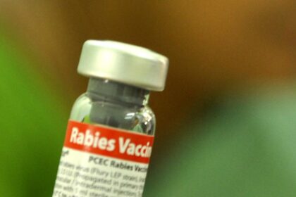 Why does death happen despite the rabies vaccine? Doctors emphasize strict adherence to prevention and treatment procedures