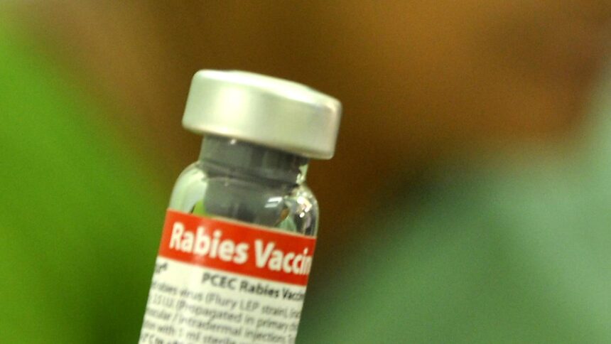 Why does death happen despite the rabies vaccine? Doctors emphasize strict adherence to prevention and treatment procedures