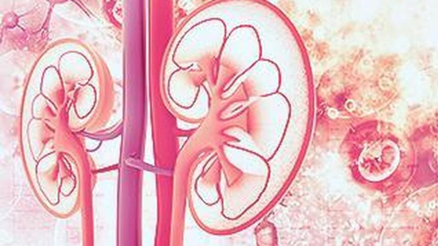 Research Projects Kidney cancer cases could double globally over the next 25 years