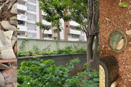 Clearing the Fog: The Need for a Revised Strategies for Mouse