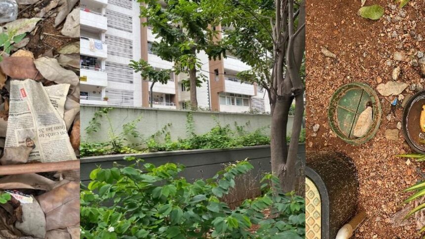 Clearing the Fog: The Need for a Revised Strategies for Mouse