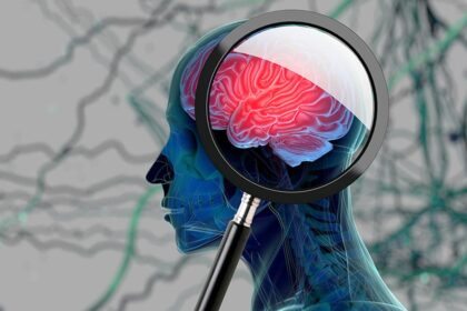 Alzheimer's disease is not "old age": Early diagnosis is essential for treatment and management