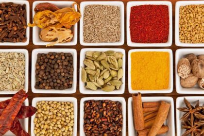 Flavor Essentials: Why should taste guide the evolution of India's nutrition?