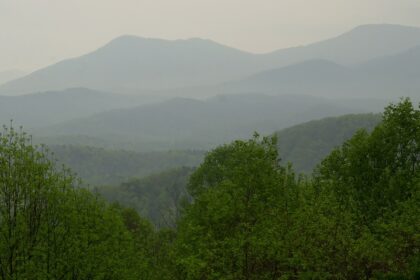 Great Smoky Mountains National Park near Gatlinburg, Tenn., April 20, 2006. (Christopher Berkey/The New York Times)
