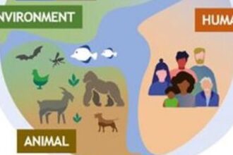 Science Quiz: About Environmental Hygiene
