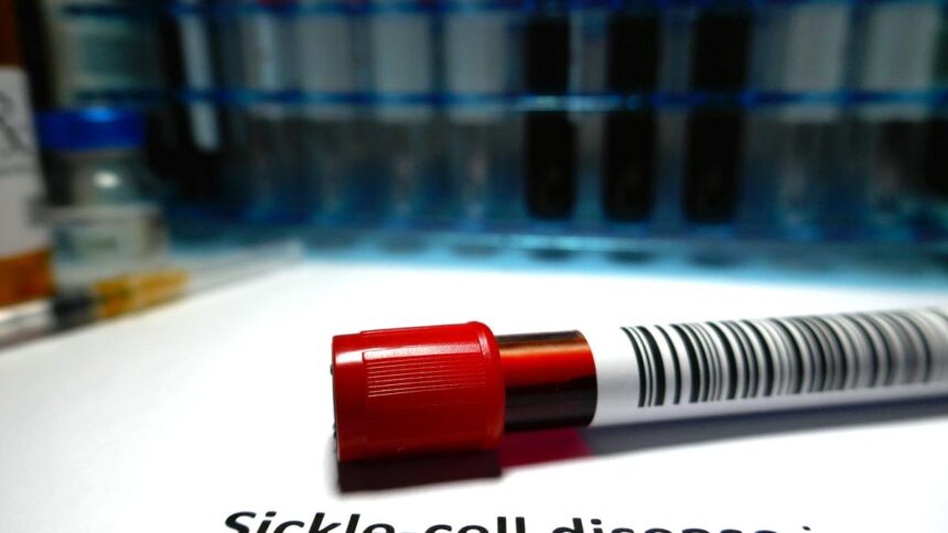 Sickle Cells: The Fight for Justice in Disabilities