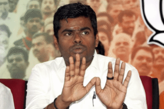 Stop "unnecessary speculation," BJP's Anamarai says "using savings and loans to buy property"