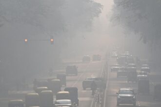 Achieving clean air goals could reduce disease rates across India, a new analysis says