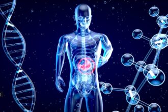 An unhealthy gut can produce toxins that enter the bloodstream, increasing inflammation and raising the risk of heart disease