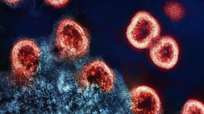 Indian HIV strains resist broadly neutralizing antibodies
