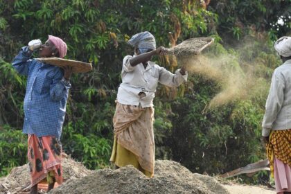 Study reveals heat-related kidney burden among farmers in Tamil Nadu