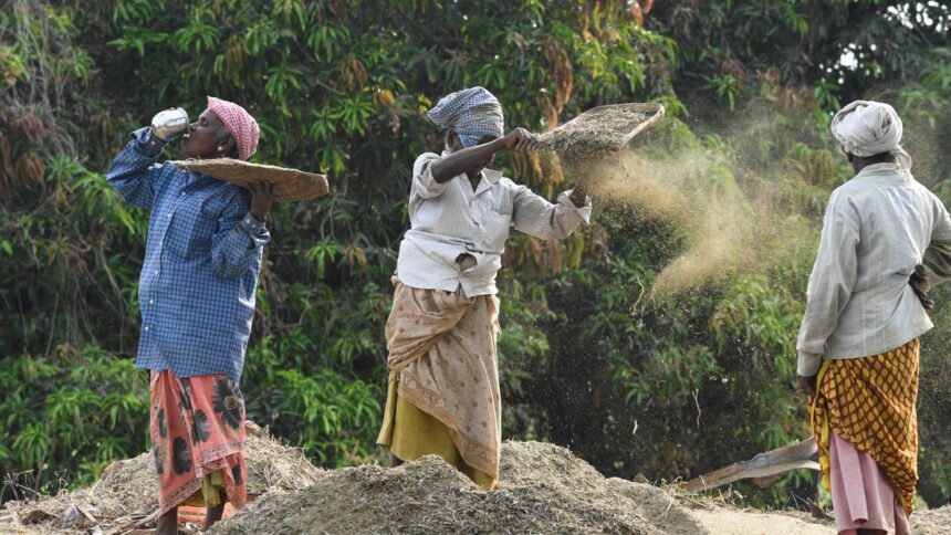 Study reveals heat-related kidney burden among farmers in Tamil Nadu