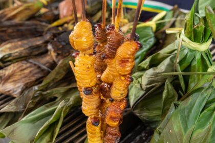 Edible insects go from taboo to tabletop