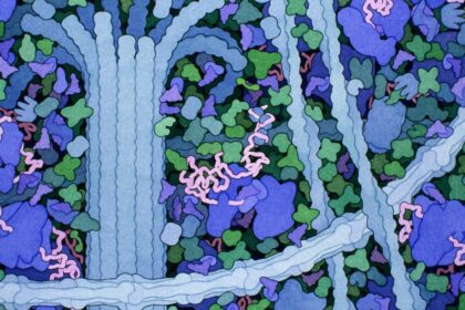 Google's new AI for drug discovery brings victory to scientific discovery