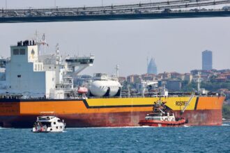 India's Russian oil imports recover in October after drop in previous quarter: Kpler data