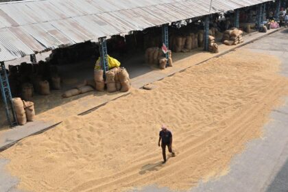 The 'soybean state' problem: Soybean farmers in Madhya Pradesh are losing interest due to multiple factors
