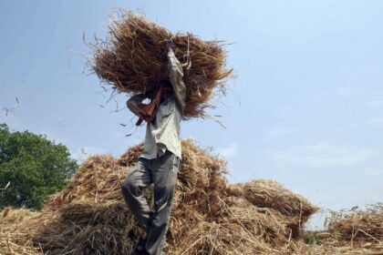 Indian bloc considers land reform push in Bihar manifesto, revives Nitish report shelved in 2008