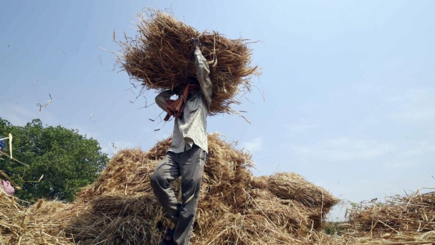 Indian bloc considers land reform push in Bihar manifesto, revives Nitish report shelved in 2008