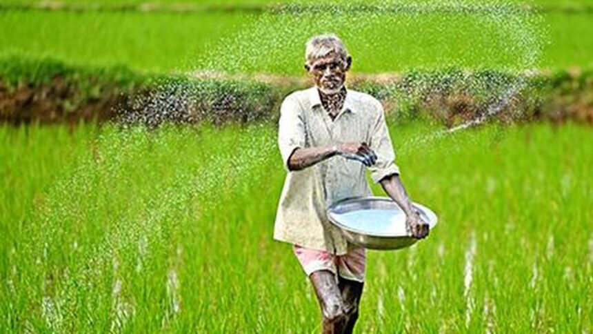 India faces soaring prices of specialty fertilizers as China suspends exports