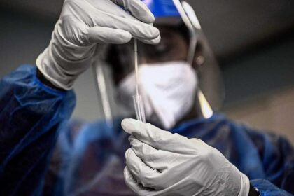 New coronavirus may change mouse sperm, causing anxiety in offspring: study