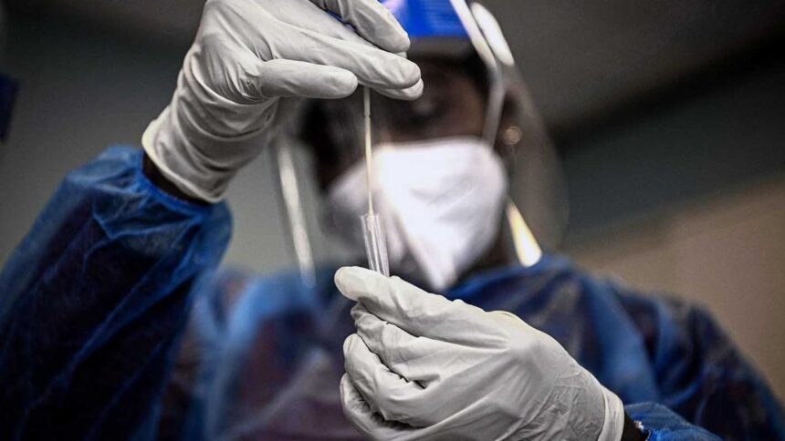 New coronavirus may change mouse sperm, causing anxiety in offspring: study